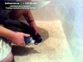 Video YouTube Video