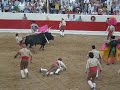 forcados de alcochete(2)