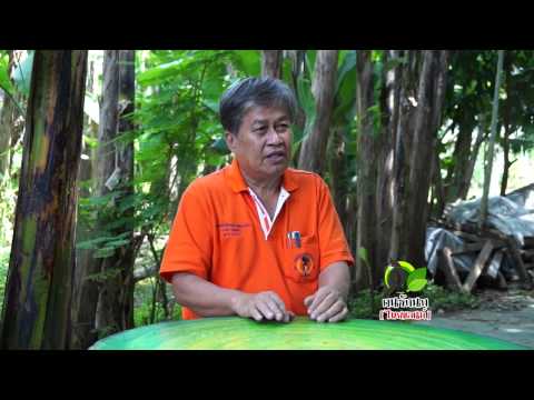 สมาพันธ์ผู้เพาะเลี้ยงนกกางเขนดงประเทศไทย 15 Dec 2013