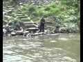 Lucien et la peche...