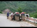 nhung canh chim dia chat nhung canh chim dia chat