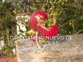 centro de educación ambiental de granada 1