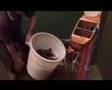 That's Fishing! - fish hatchery