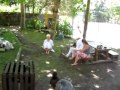 Ver Video