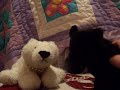 webkinz7437\ webkinz7437\