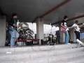reptilia LVE cover