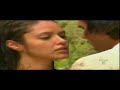 amor gitano   la novela del zorro