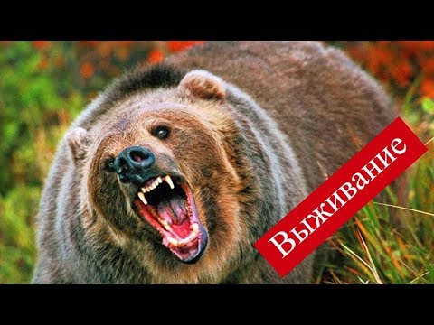 выживание в тайге рыбалка выживание в тайге рыбалка