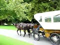 Cricket St Thomas New Horse Drawn carriage