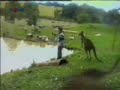 That's So Funny - Kangaroo Kick