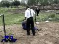 videos de AWE show 4 Parte 3