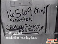 Inside the Monkey Labs