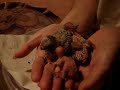 andulkyvíce na http://www.rucnedokrmenipapousci.wbs.czKakadu cockatoo žako kongo Congo amazoňan amazona agapornis alexandr malý Alexander small velký the great čínský Chinese pink ara aratinga sun zlatý gold Barnard collar Eklektus Eclectus mníšek šedý Quaker Parrot blue Nandej Neoféma parrot papoušek Nestor kea korelka korela cockatiel korely andulka budgerigar andulky Budgerigars Pyrura Kakariki rosela Yellow Rosella Eastern lutino lutin Pennant Mutation