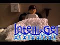 Mattress Feuds Mattress Feuds