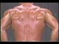 Junior-Bodybuilders
