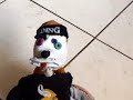 AMORFO THE MOVIE