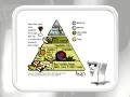 Food Pyramid