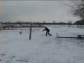 videos de Cassi