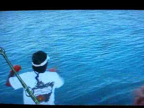 sail fishing