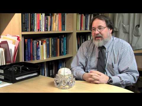 Dr. Robert Fisher discusses Epilepsy and Treatments at Stanford Hospital
