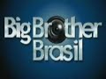 serginho bbb 1 cabelo