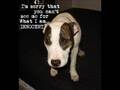 Anti- BSL