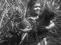 Documentary filmed by the US Government in 1955. Shows efforts to improve Puerto Rico's economy, mentioning the improved welfare of its people, growth of agriculture and industry and its tourist attractions. The land, people and industrial production of PR, especially as available for commercial exploitation by US business. Shows landmarks, natural beauty and praises the stability of the democratic government of the Commonwealth. Alludes to Puerto Ricans fighting for independence.