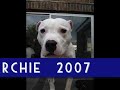 if you have a pet of any kind
please join the no1 pet forum in the world!
luckys wonder of chinchillas
http://anntwo.proboards105.com/index.cgi

please help an animal in need by purchasing
jamie glaser's music for pets and people cd
$2 of every purchase goes to animal rescue!
thank you.
http://www.jamieglaser.com/petmusic.html