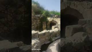  | موسوعة التراث الفلسطيني