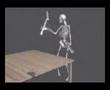 SEXING SKELETONS