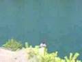 Fitzwilliam Quarries