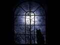 Dream Cats