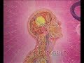 Ayahuasca - Alex Grey on Shamanism Ayahuasca - Alex Grey on Shamanism