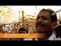 HOLY SPIRIT FIRE FALLS ON INDIAN TRIBES - Allan Rich Ministries
