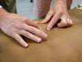 Lower Trapezius & Rhomboids Lower Trapezius & Rhomboids
