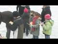 videos de elfstedentocht