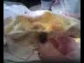 DI: WHY THE FRIKK IS THERE CHICKEN IN THIS DI: WHY THE FRIKK IS THERE CHICKEN IN THIS