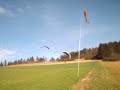 Fly like in Spring - in January Fly like in Spring - in January