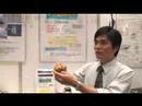 Electrostatic Film Scale : DigInfo