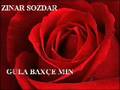 ZINAR SOZDAR   GULA BAX�E MIN