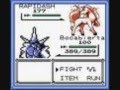 RAPIDASH TRIBUTE