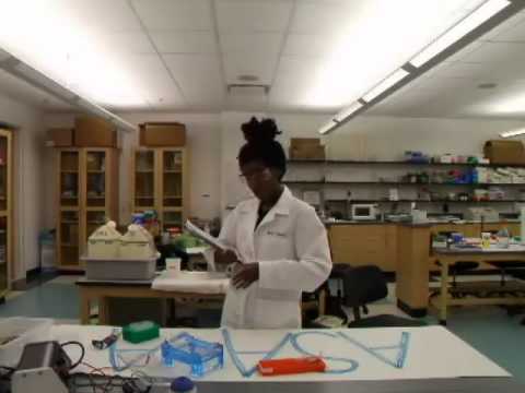 how to isolate protein from cells