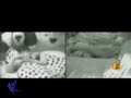 �ris e Alem�o -  Ultima Noite VI