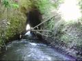 Cueva del jote por donde desemboca, al rio Bio-Bio, agua de canal de ragadio, en Negrete, 3 de 3