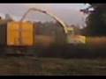 fendt 930 met de container aaan het kneuzen