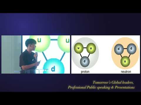 Everything you need to know about particle physics - Lucas [TTS Presentation 2024]