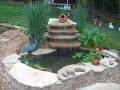 garden pond garden pond