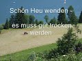 Willkommen am Alpsee Willkommen am Alpsee