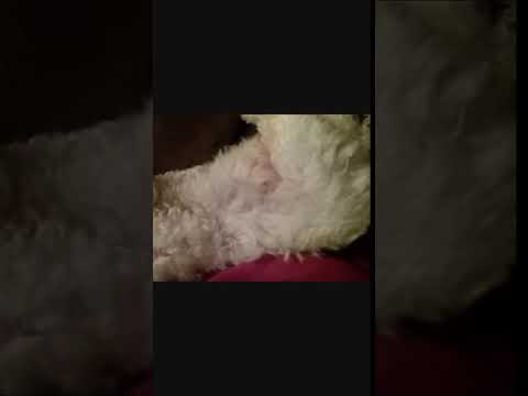 First we play then we sleep