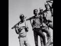 Trouble in Exile - Tibet